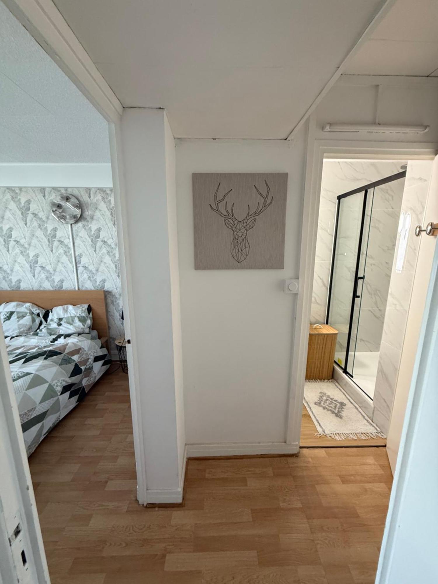 Superbe Duplex Avec Parking Gratuit Apartment Гренобъл Екстериор снимка