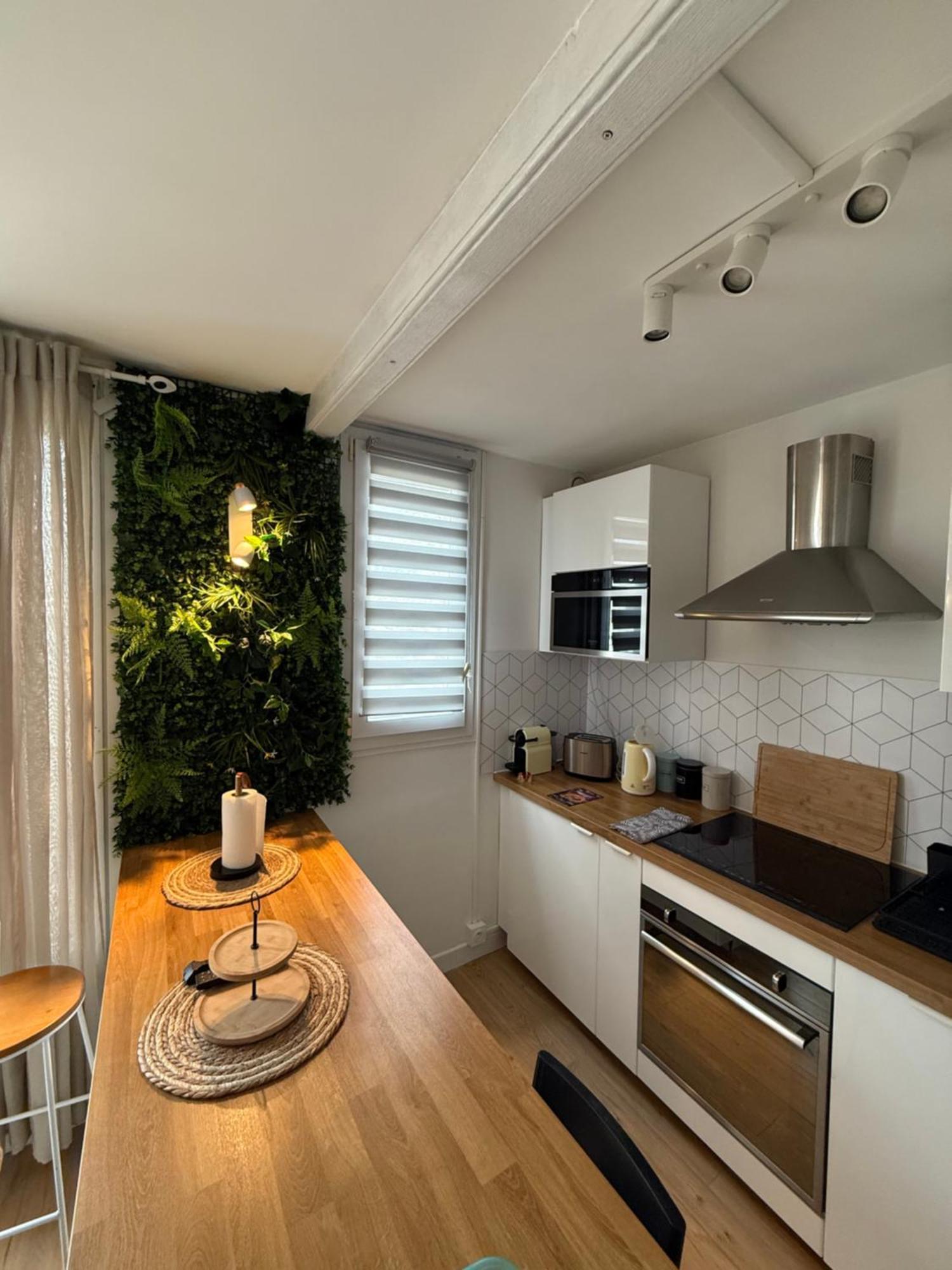 Superbe Duplex Avec Parking Gratuit Apartment Гренобъл Екстериор снимка