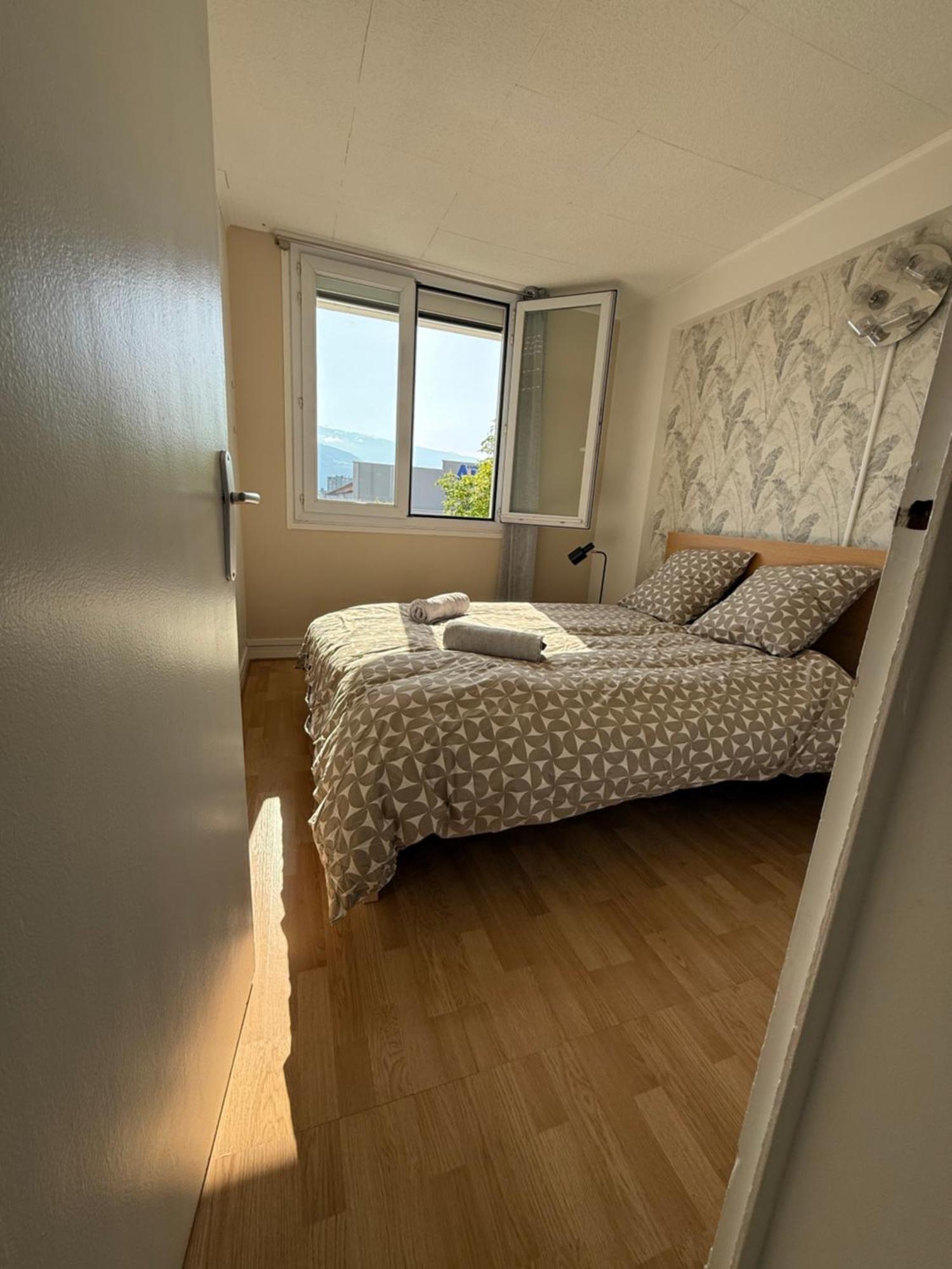 Superbe Duplex Avec Parking Gratuit Apartment Гренобъл Екстериор снимка